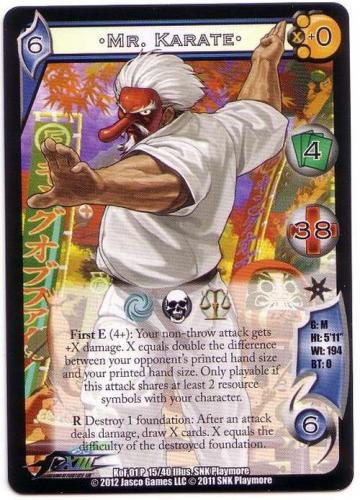 Mr. Karate*